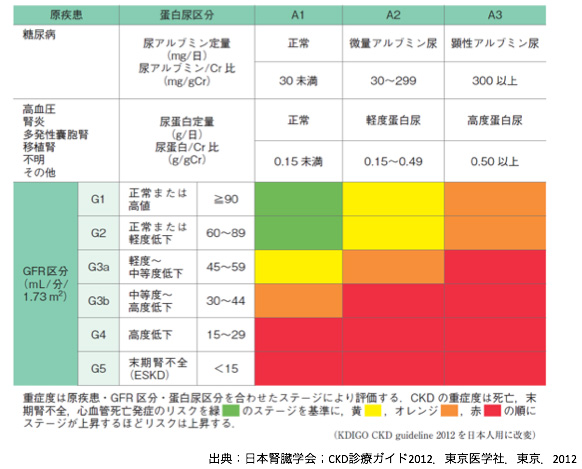 腎臓の働きをしらべる egfrの測定｜知ろう。 